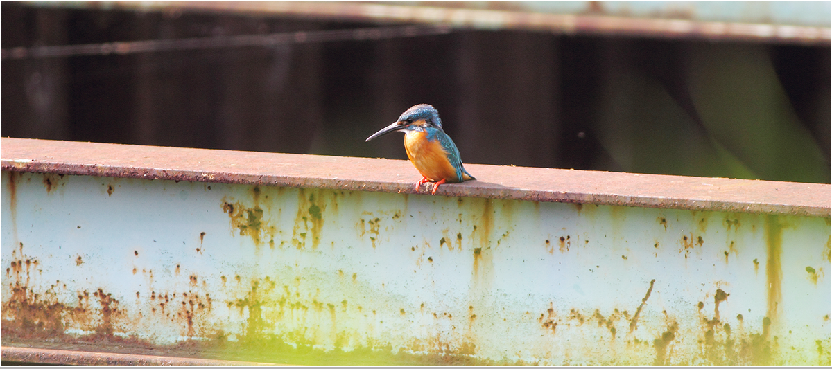 mainimage03